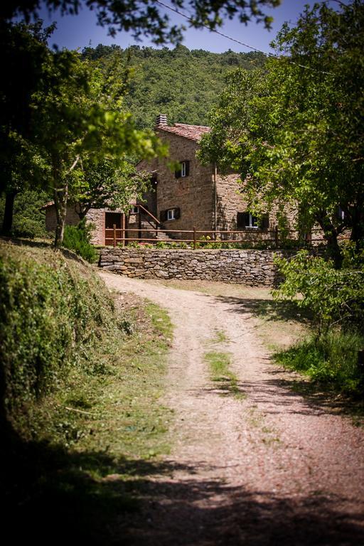 Апартаменты Borgo Al Teto La Vite Кастильон-Фьорентино Экстерьер фото