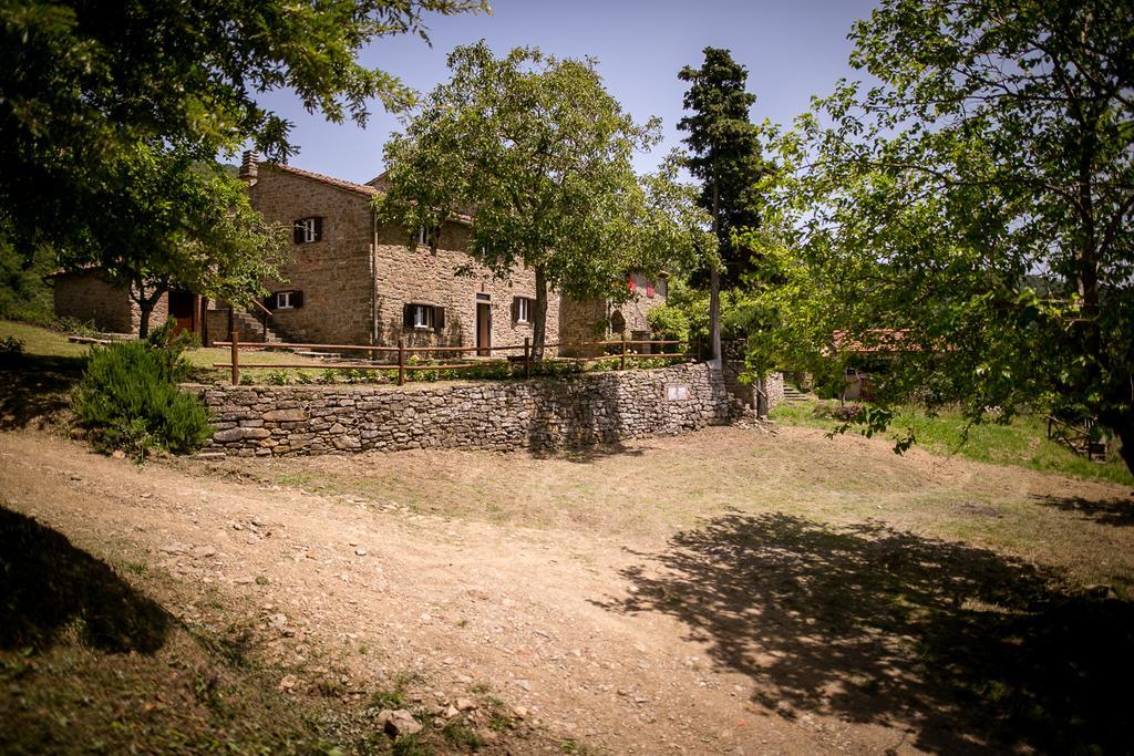 Апартаменты Borgo Al Teto La Vite Кастильон-Фьорентино Экстерьер фото